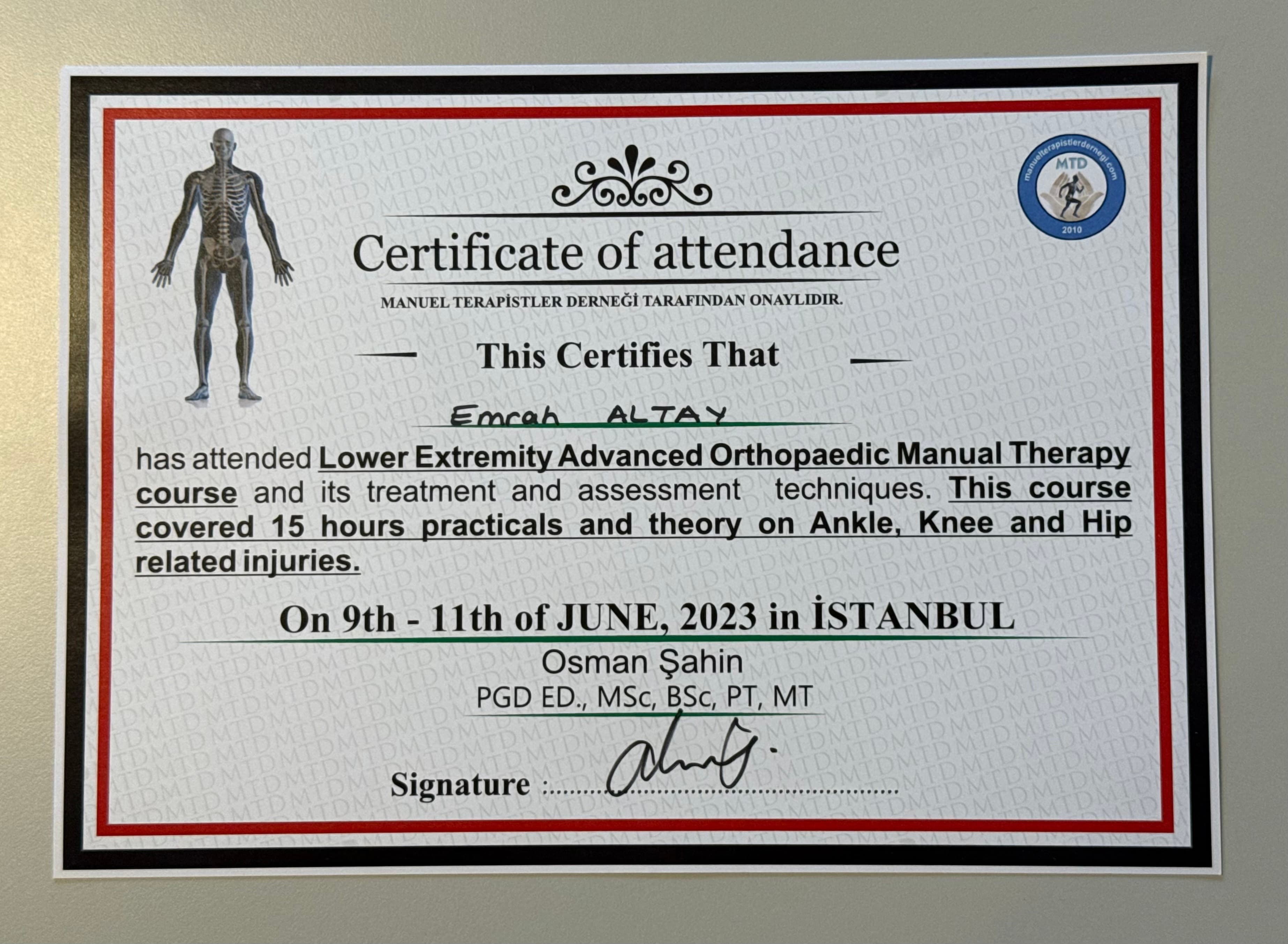 Lower Extremity Advanced Orthopaedic Manual Therapy