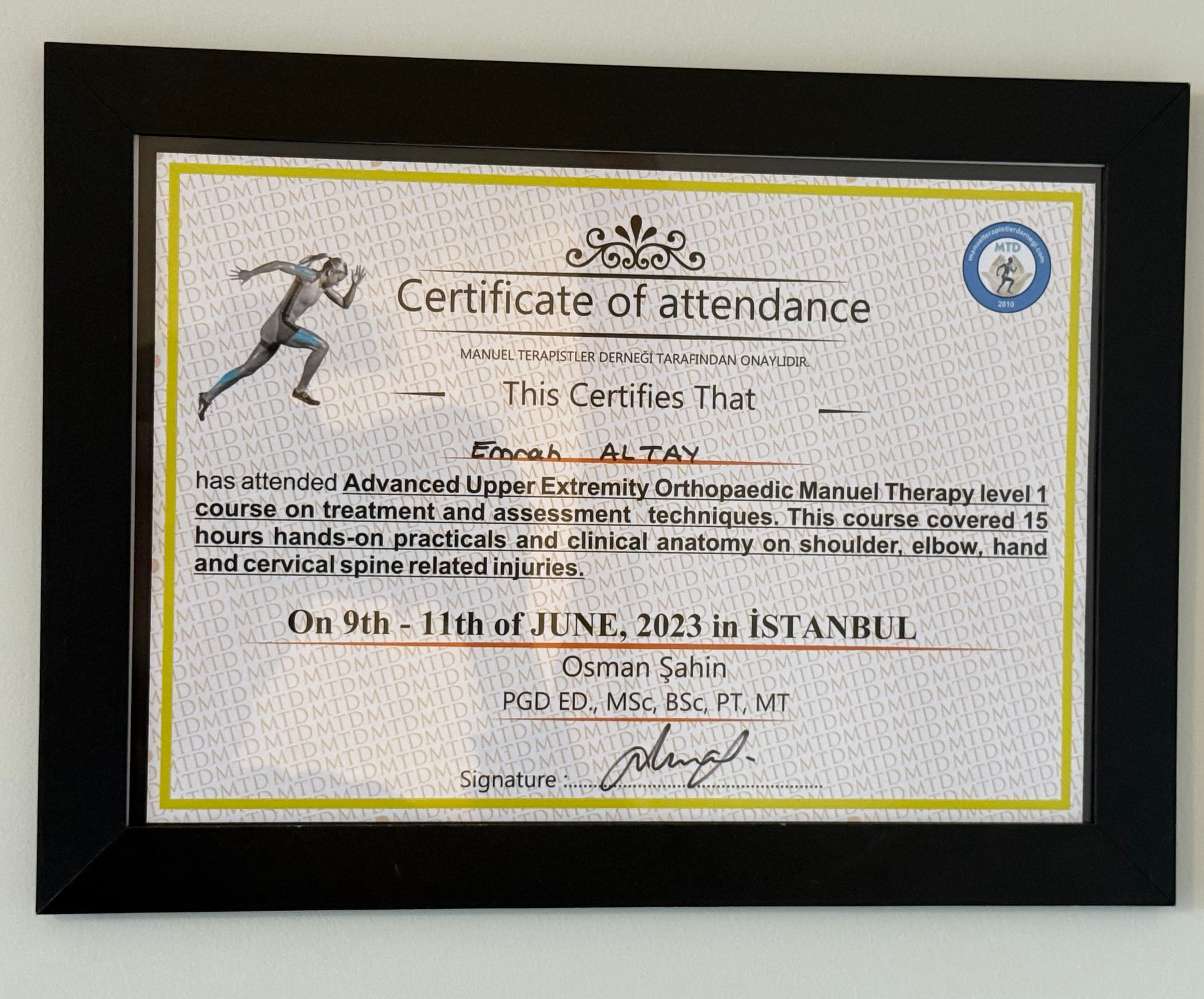 Advanced Upper Extremity Orthopaedic Manuel Therapy