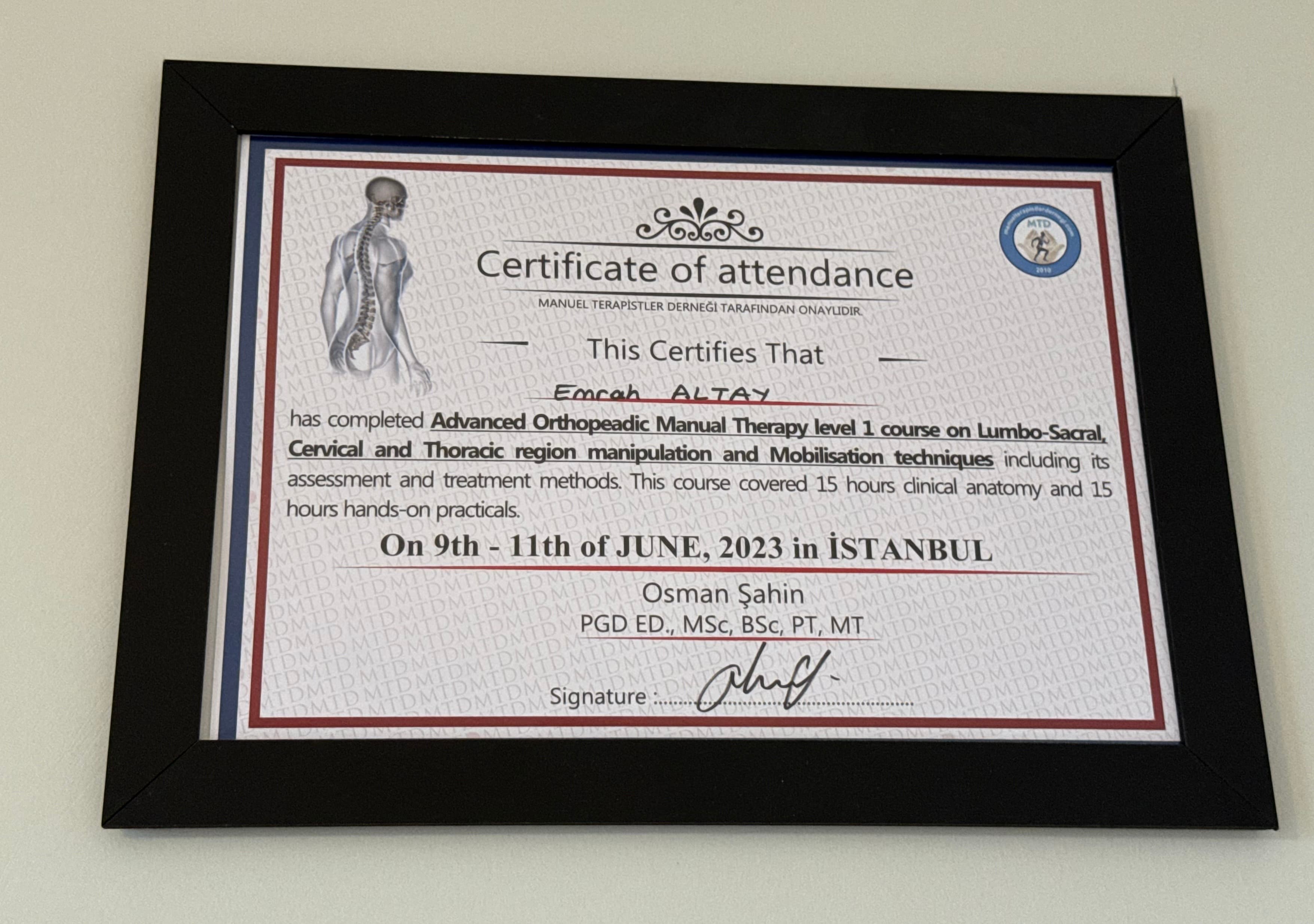 Advanced Orthopedic Manual Therapy